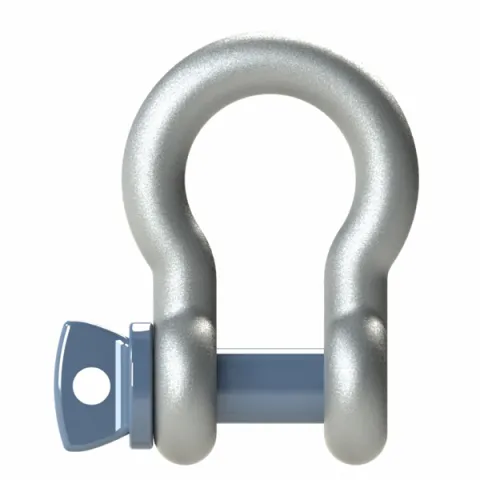 Main picture Exoset Bow Shackle with Screw Collar Pin