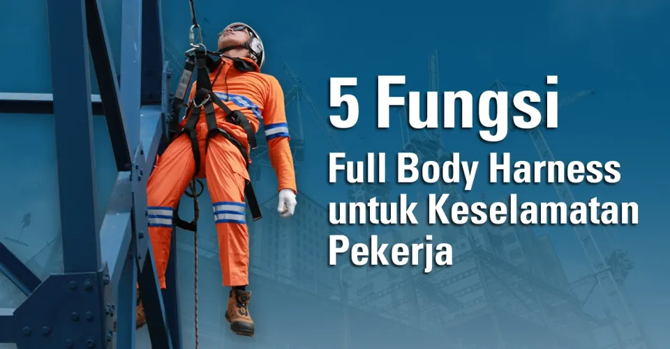 functions of full body harness