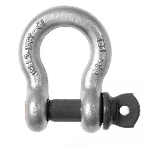 Main picture Bow Shackle with Screw Pin