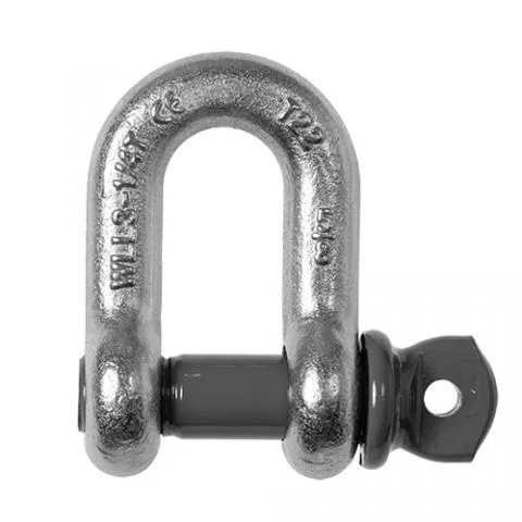 Main picture D-Shackle with Screw Pin