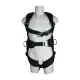 SpanSet HL-4P-06 Positioning Harnesses Small picture 1