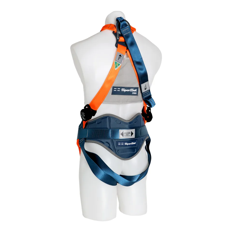 Main picture ERGO Harness with padded waist belt