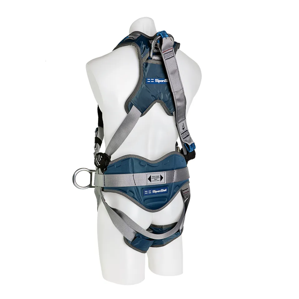 Main picture ERGO iPlus with dorsal extension and padded waist belt