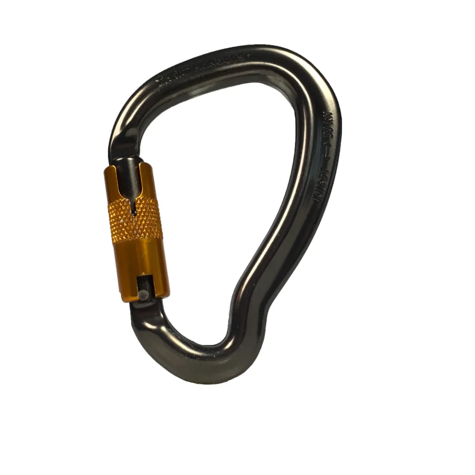 Main picture Twistlock Karabiner