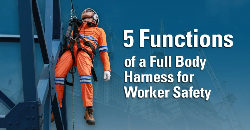 functions of full body harness